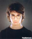 harry